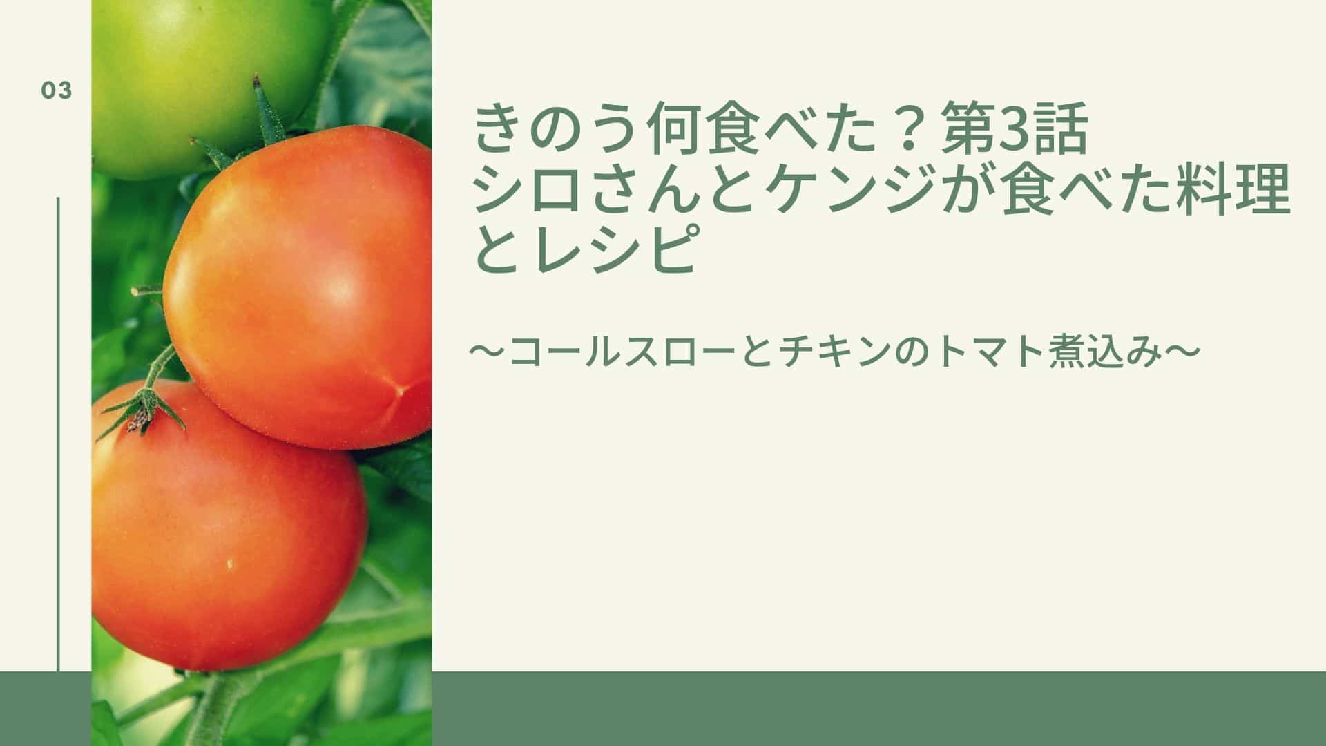 きのう何食べた 第3話でシロさんとケンジが食べた料理とレシピ コールスローとチキンのトマト煮込み カジテレママ